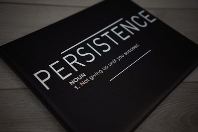 Persistence Definition Noun Canvas Poster Banner Print